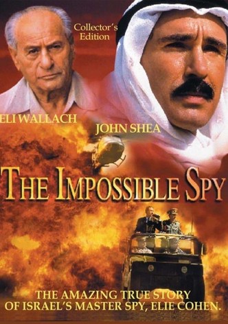The Impossible Spy