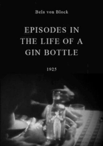 Episodes in the Life of a Gin Bottle