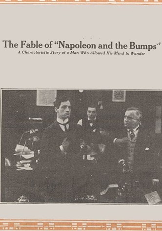 The Fable of Napoleon and the Bumps
