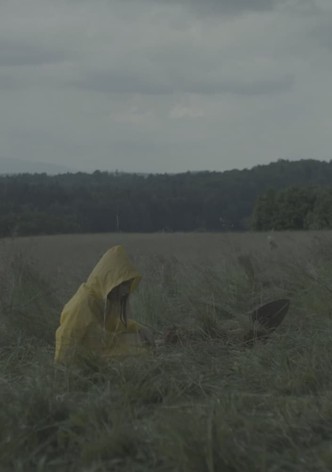 Soil Stories