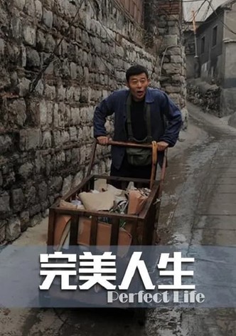 完美人生