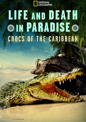 Life and Death in Paradise: Crocs of the Caribbean