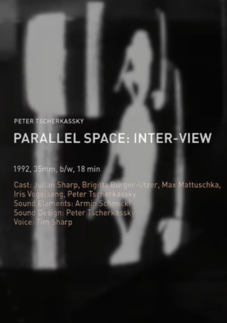 Parallel Space: Inter-View