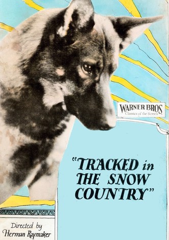 Tracked in the Snow Country