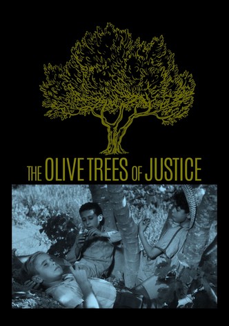 The Olive Trees of Justice