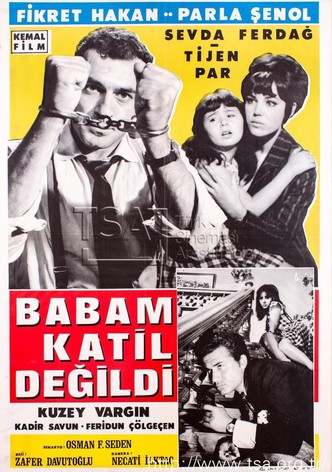 Babam Katil Değildi