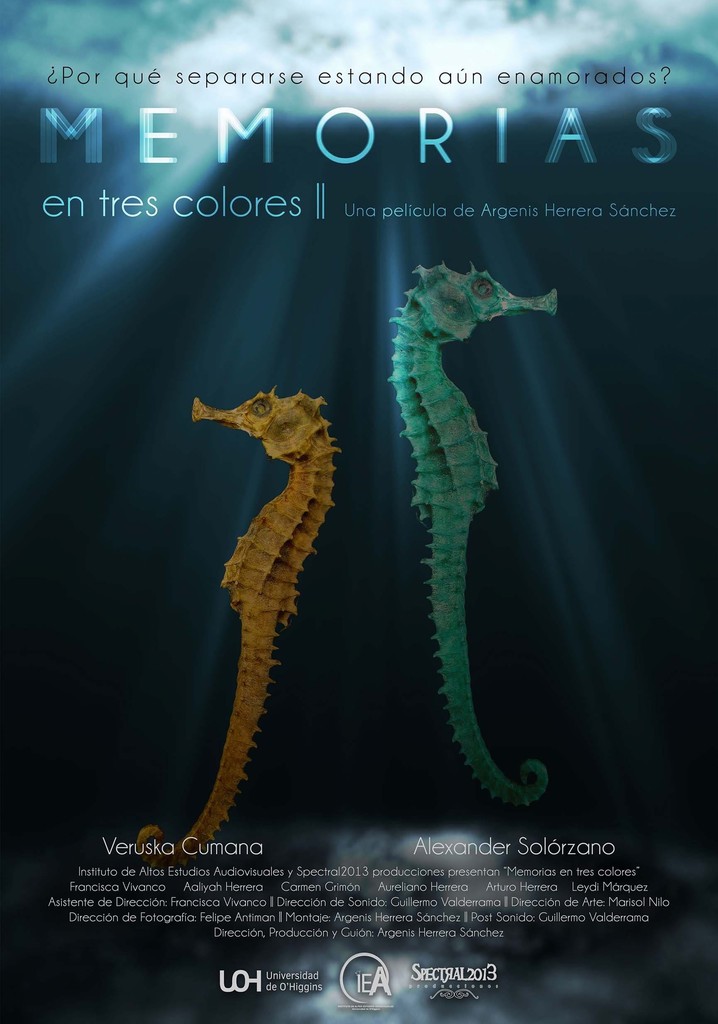 Memorias En Tres Colores