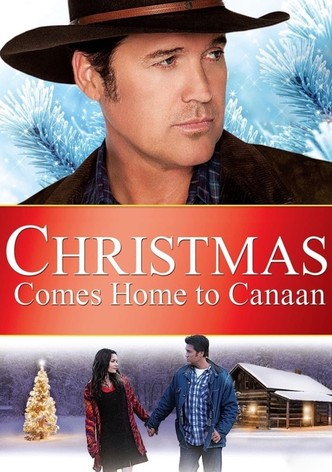 Un regalo inaspettato