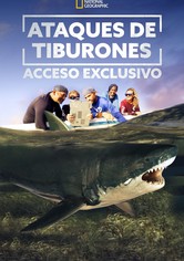 Ataques de Tiburones: Acceso Exclusivo