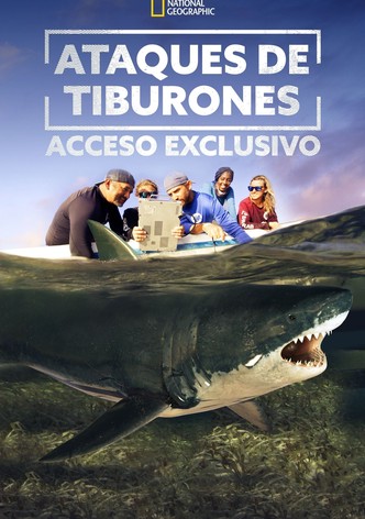 Ataques de Tiburones: Acceso Exclusivo