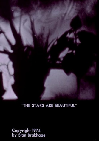 The Stars Are Beautiful