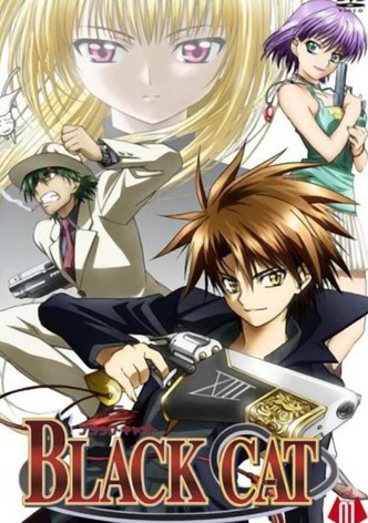 BLACK CAT