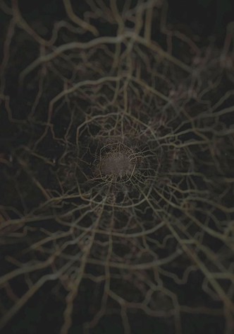 Casamonica - La Resa dei Conti