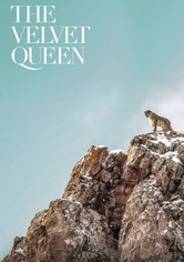 The Velvet Queen