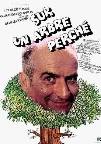  Oscar : LouisdeFunès, ClaudeRich, ClaudeGensac, AgatheNatanson,  PaulPréboist, Edouard Molinaro: Movies & TV