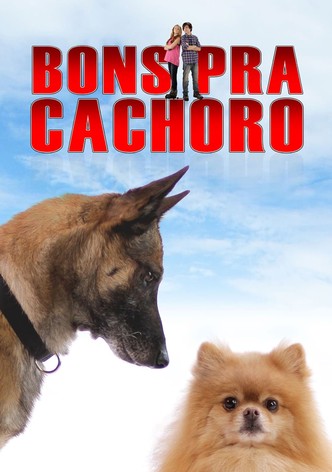 Bons Pra Cachorro