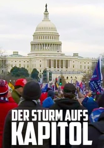 Der Sturm aufs Kapitol