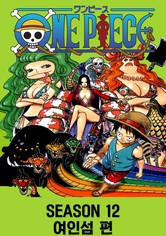 원피스 - 시즌 12: 여인섬 편