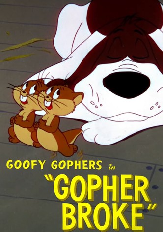 Gopher Broke