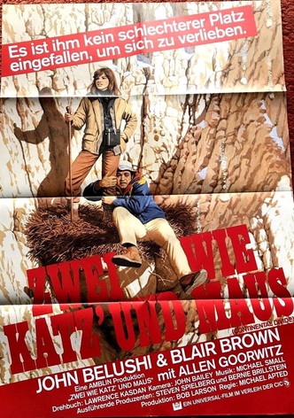 Zwei wie Katz und Maus