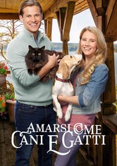 Amarsi come cani e gatti