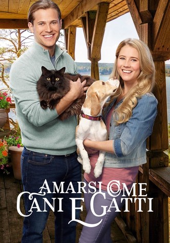 Amarsi come cani e gatti
