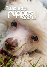 12 Puppies And Us