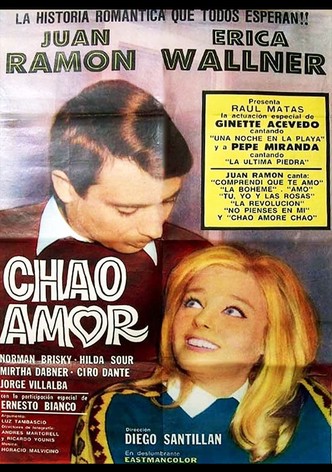 Chao amor