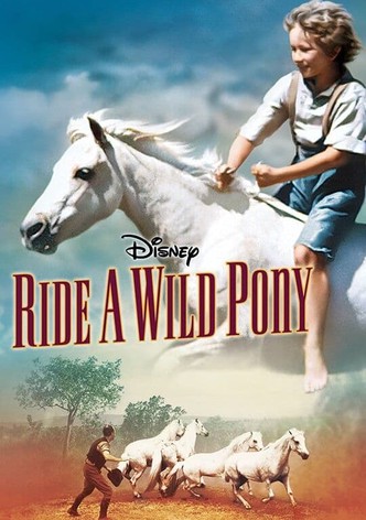 Ride a Wild Pony