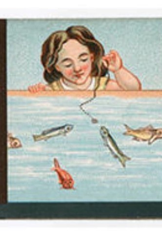 The Aquarium