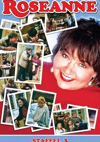 Roseanne - Staffel 3 (Folge 48 - 72)
