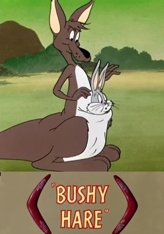 Escapade australienne