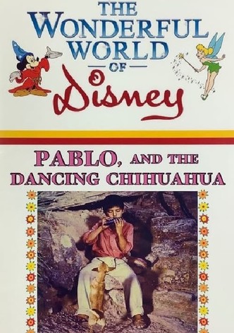 Pablo and the Dancing Chihuahua