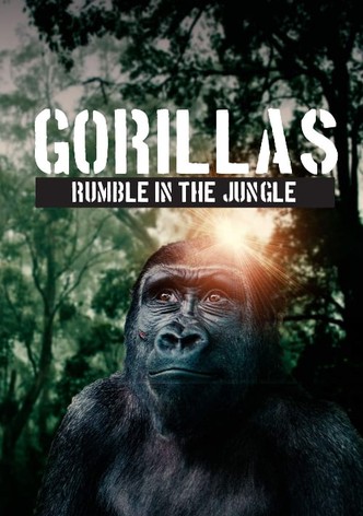 Gorillas: Rumble in the Jungle