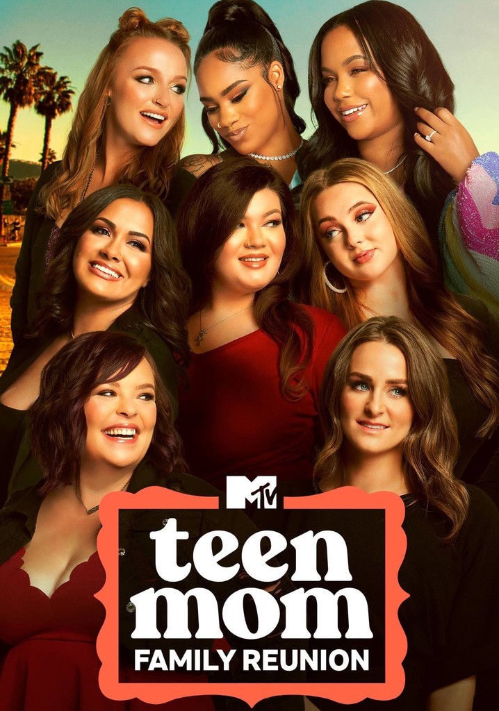 Artwork for Teen Mom: Family Reunion