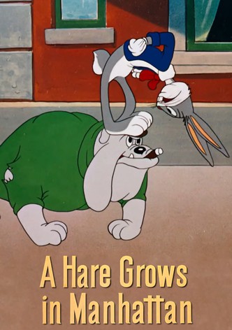 A Hare Grows in Manhattan