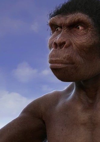 Evolution from ape to man