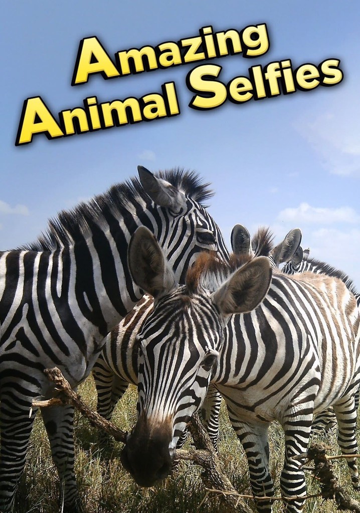 Amazing Animal Selfies