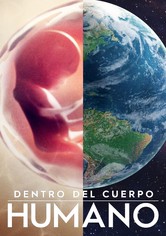 Dentro del cuerpo humano