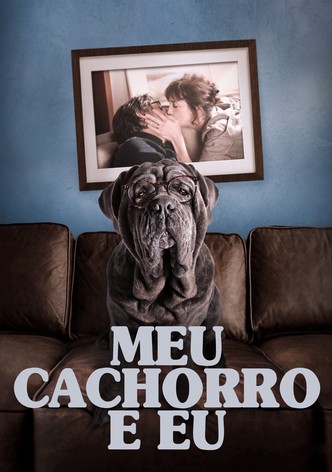 O Meu Cão Estúpido