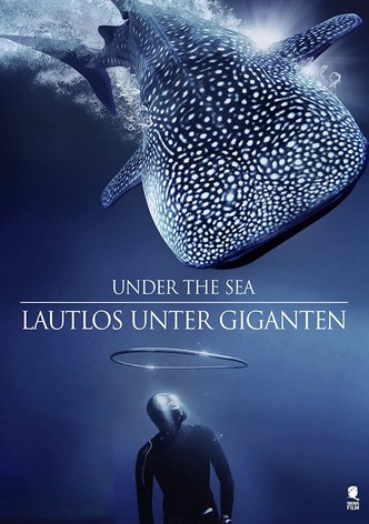 Under the Sea 3D: Lautlos unter Giganten