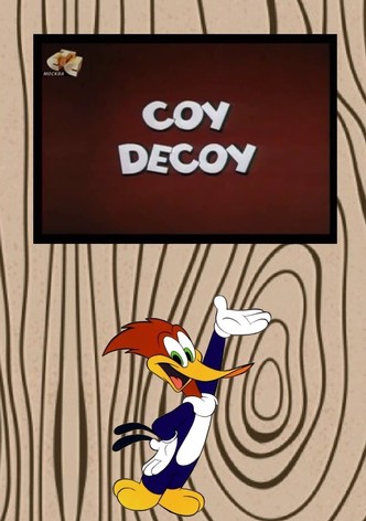 Coy Decoy