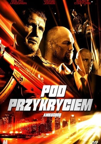 Pod Przykryciem