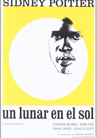 Un lunar en el Sol