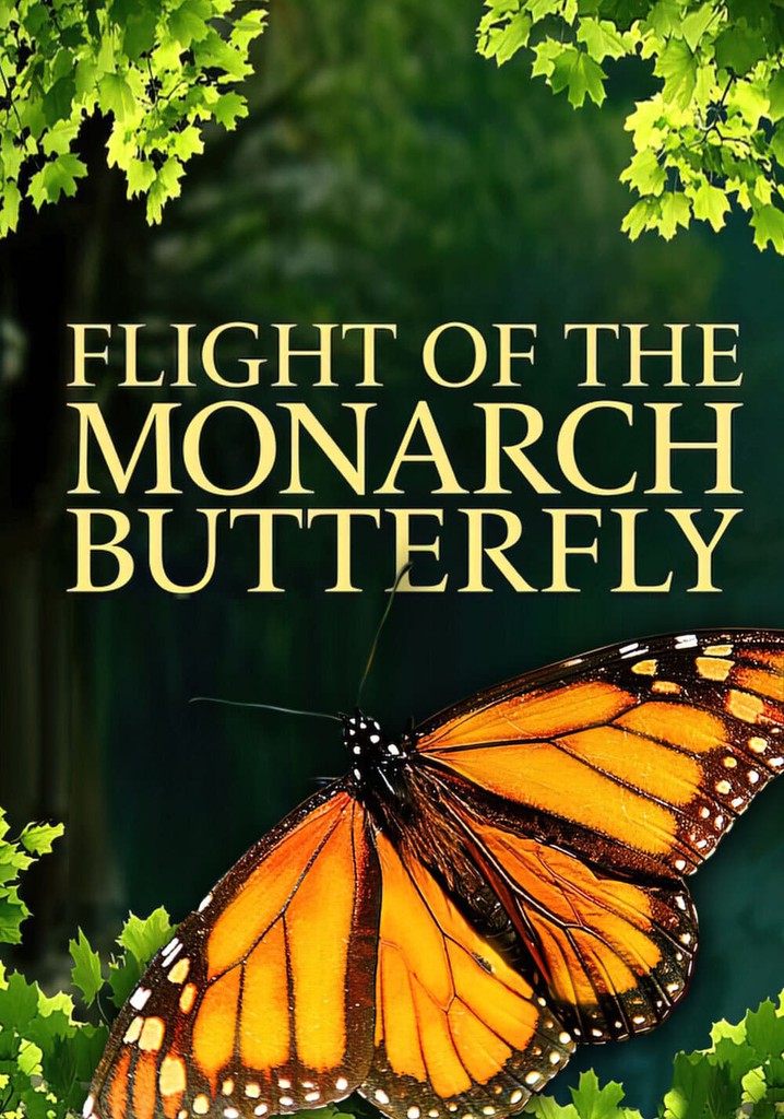 Flight of the Monarch Butterfly