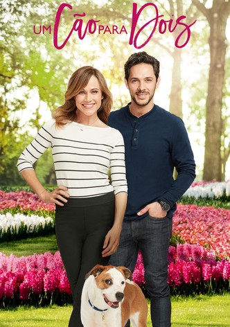 Um Cão Para Dois