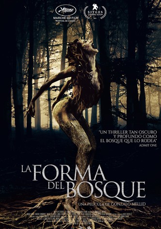 The Shape of the Woods