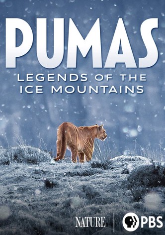 Pumas: Legends of the Ice Mountains