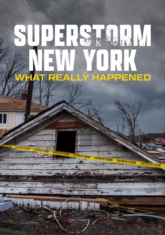 Superstorm New York: What Really Happened