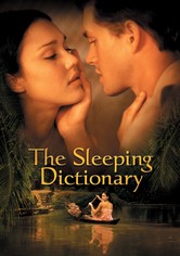スリーピング・ディクショナリー